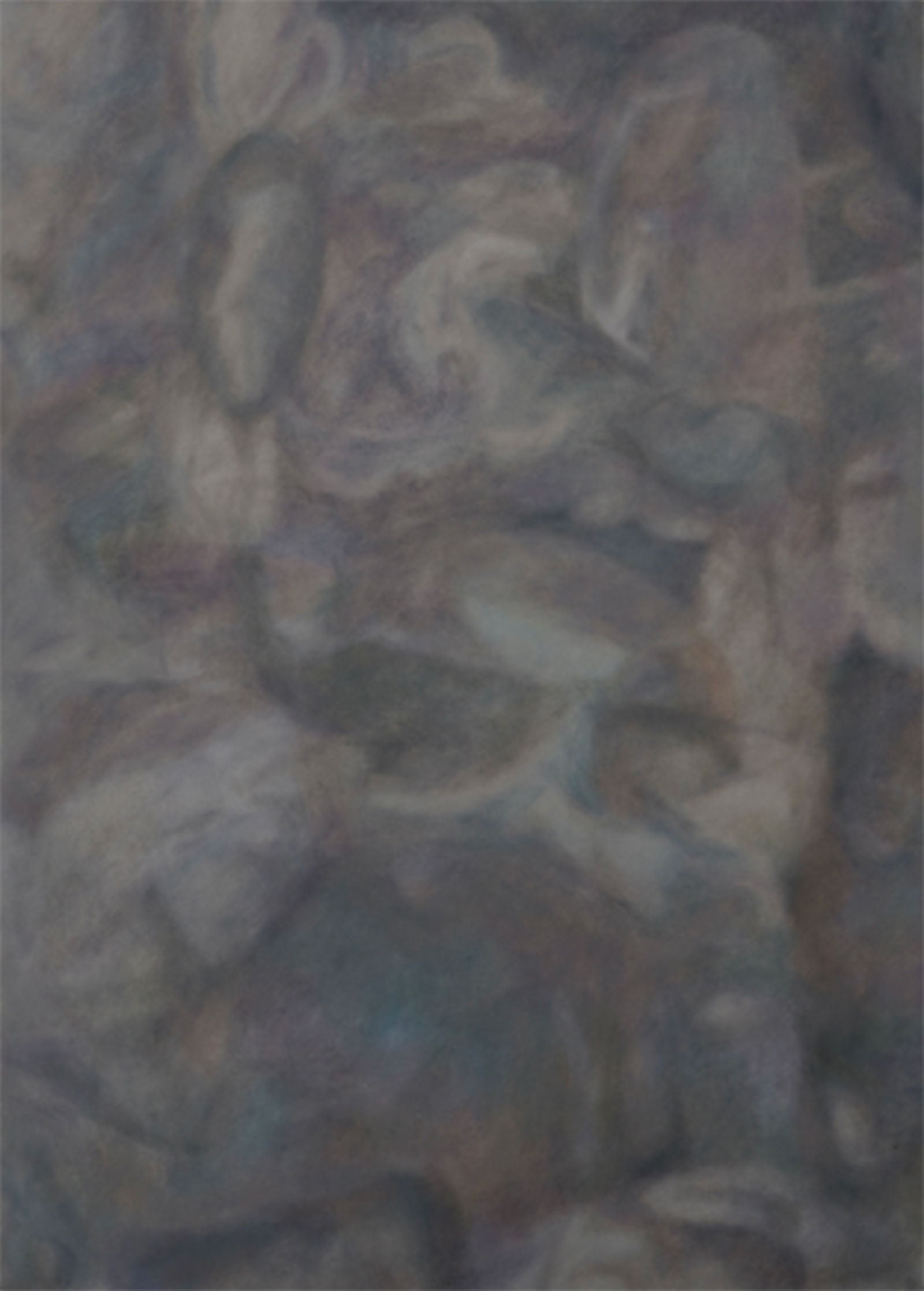 Soundless Landscape