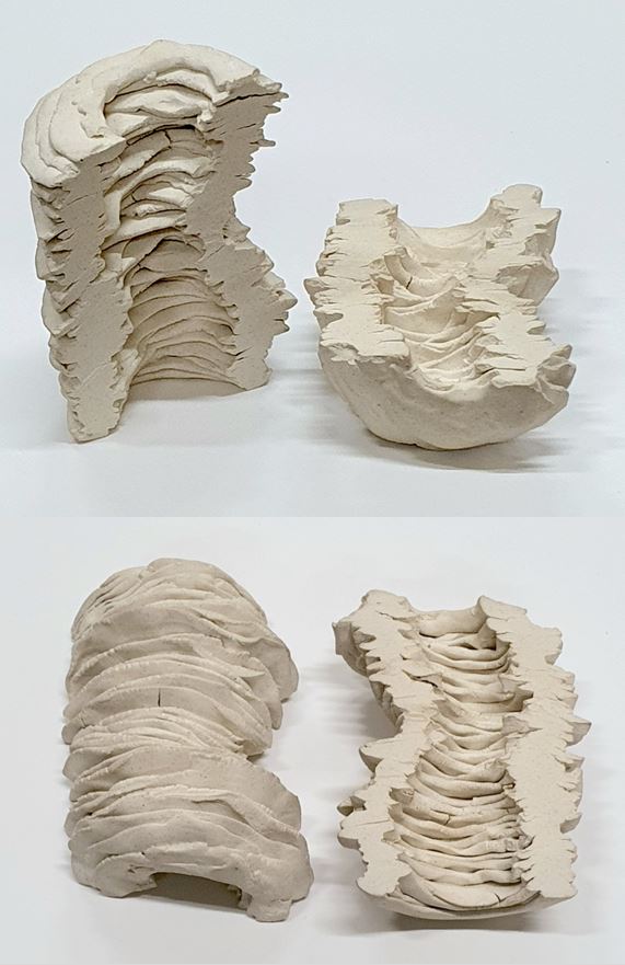 Cross section of a wrinkle