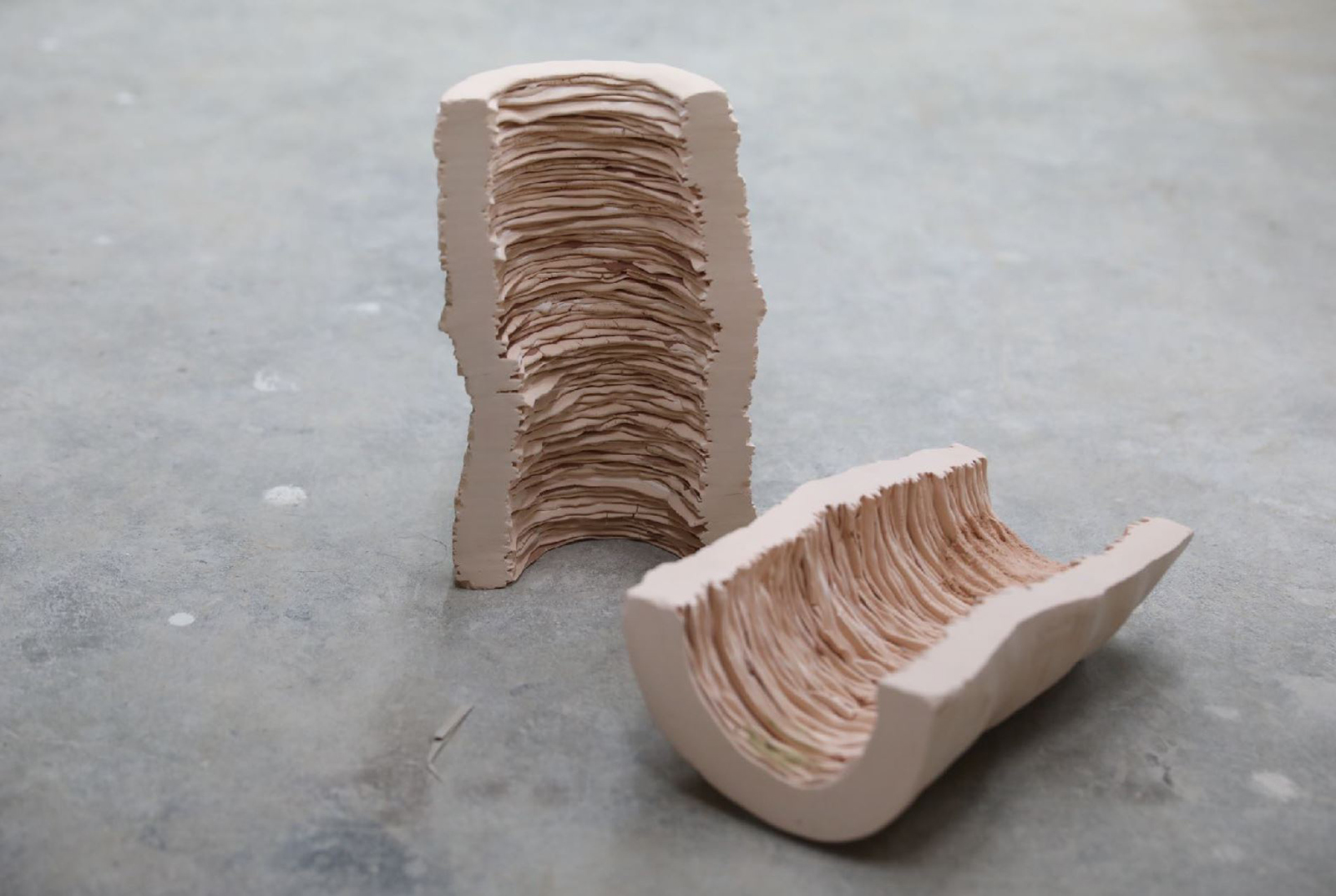 Cross section and wrinkles